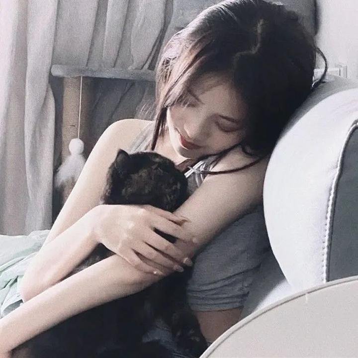 戴洛奇小镇第一季